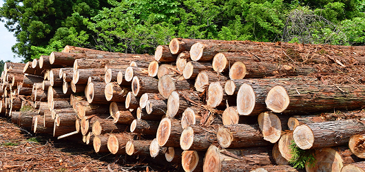 地域産材の積極活用